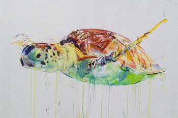 Dave White Sea Turtle Diamond Dust Drakes Auctions Tavistock